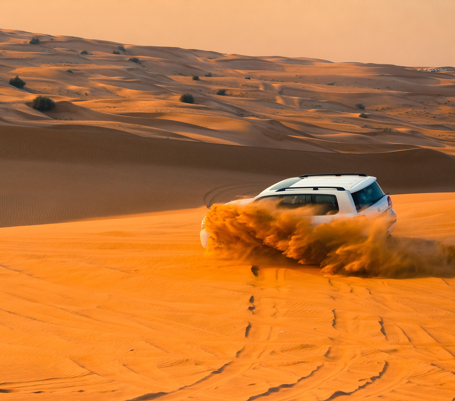 Desert Safari (Dubai)