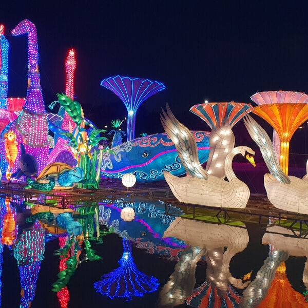 Dubai Garden Glow