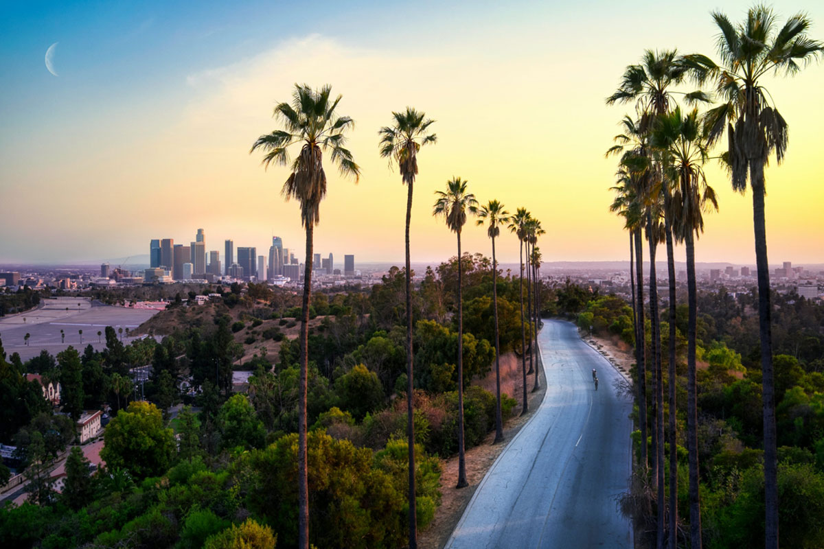 Golden Coast Family Escape